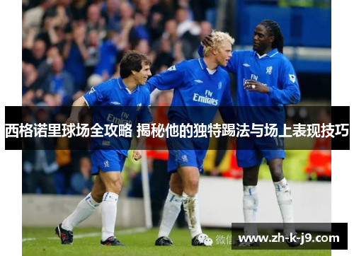 西格诺里球场全攻略 揭秘他的独特踢法与场上表现技巧