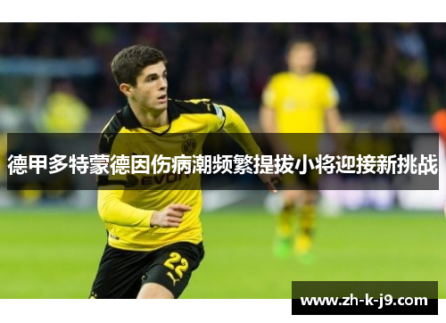 德甲多特蒙德因伤病潮频繁提拔小将迎接新挑战